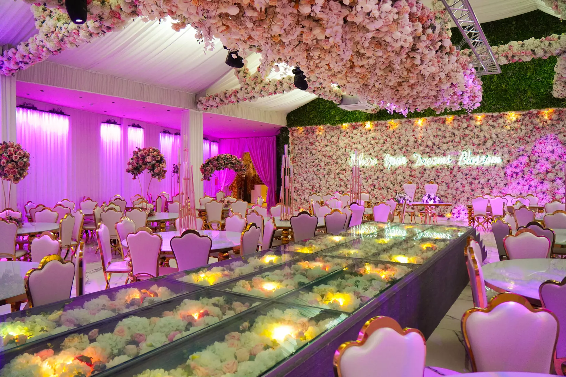 GBS 6 of 165 scaled 1